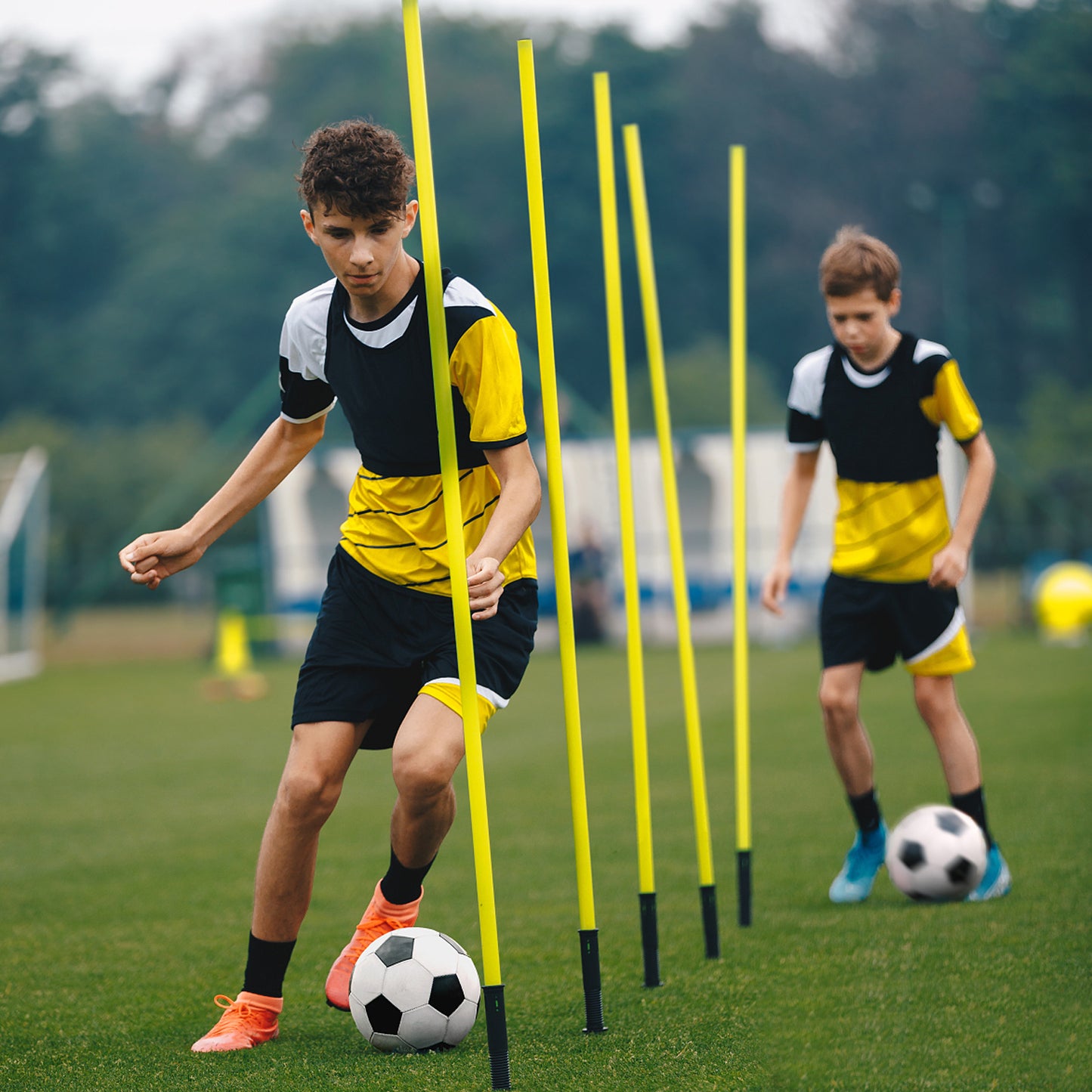 Agility Training Poles Set - 6 stuks
