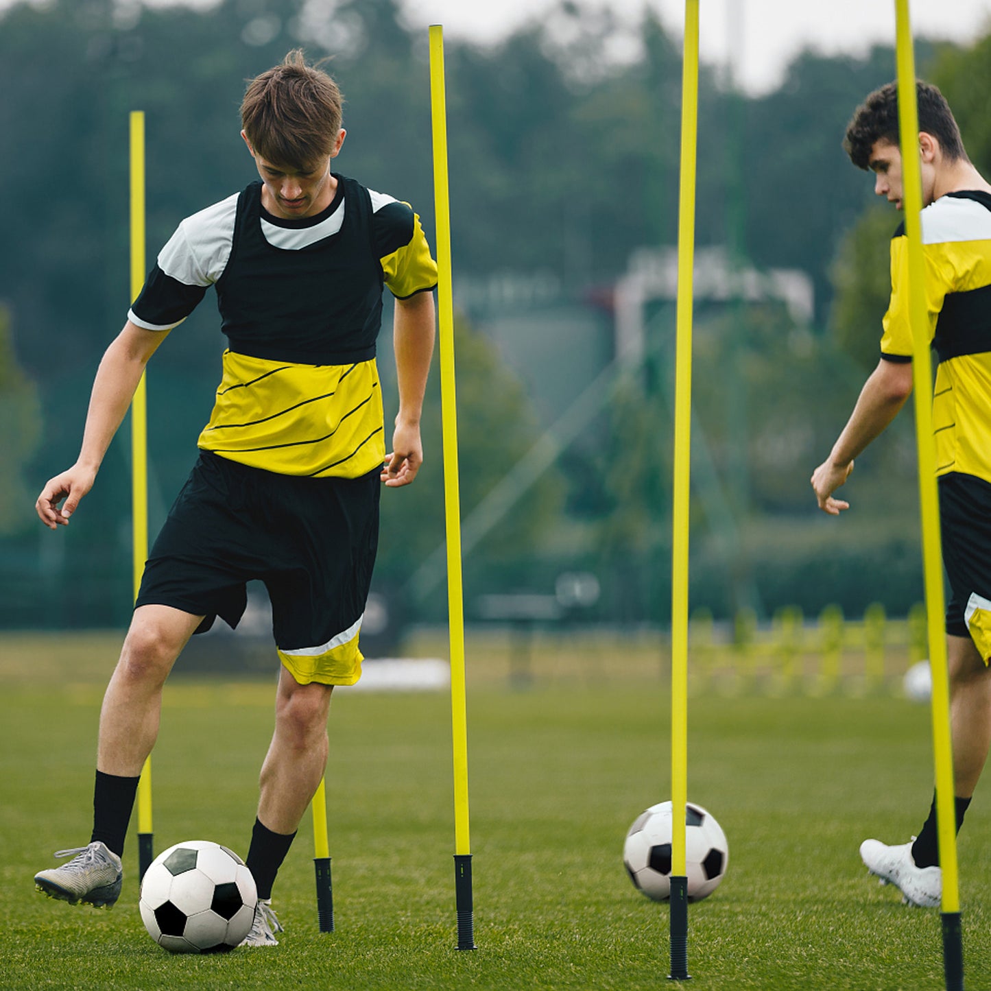 Agility Training Poles Set - 6 stuks