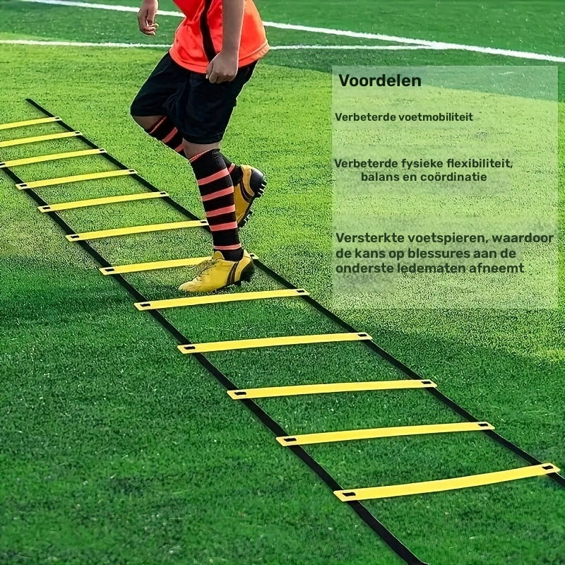 Complete set incl Agility ladder Set, Platte schijven, Weerstandsparachute, Grondpennen